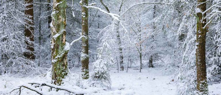 winter 2026
