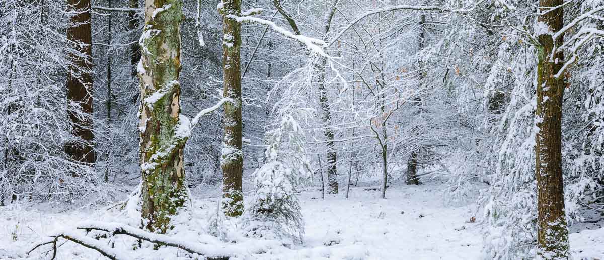 winter 2026